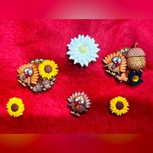 NWOT 6 piece magnet set!